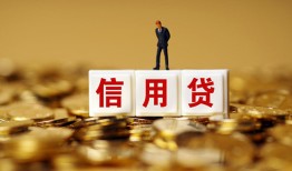 东莞信用哪有个人借贷-东莞信用小额贷款公司-东莞信用私借空放免费上门