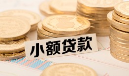 东莞信用身份证贷款平台-东莞信用私人借贷不查征信-东莞信用空放借钱