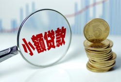 东莞信用小额贷款贷款-东莞信用社保信用贷款-东莞信用身份证贷款电话