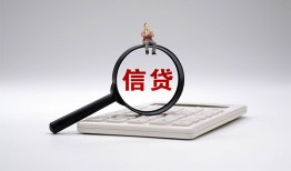 东莞信用私借空放不考察-东莞信用无抵押私借空放-东莞信用民间借贷