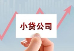 东莞信用哪里可以小额贷款-东莞信用个人信用贷款-东莞信用小额贷款