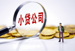 东莞信用民间大额借贷-东莞信用私借空放-东莞信用私人上门借贷