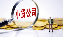 东莞信用民间大额借贷-东莞信用私借空放-东莞信用私人上门借贷