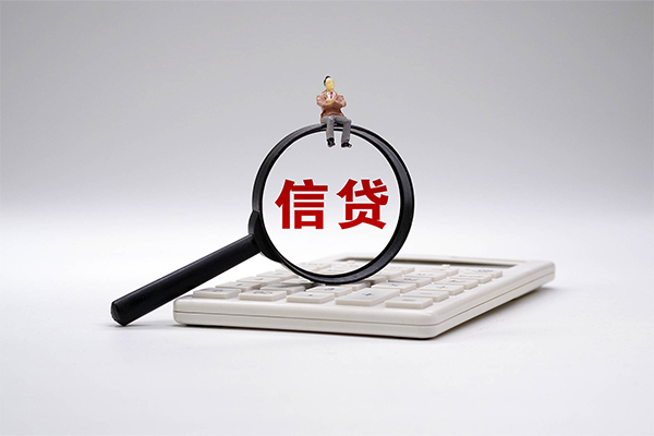东莞信用私借空放不考察